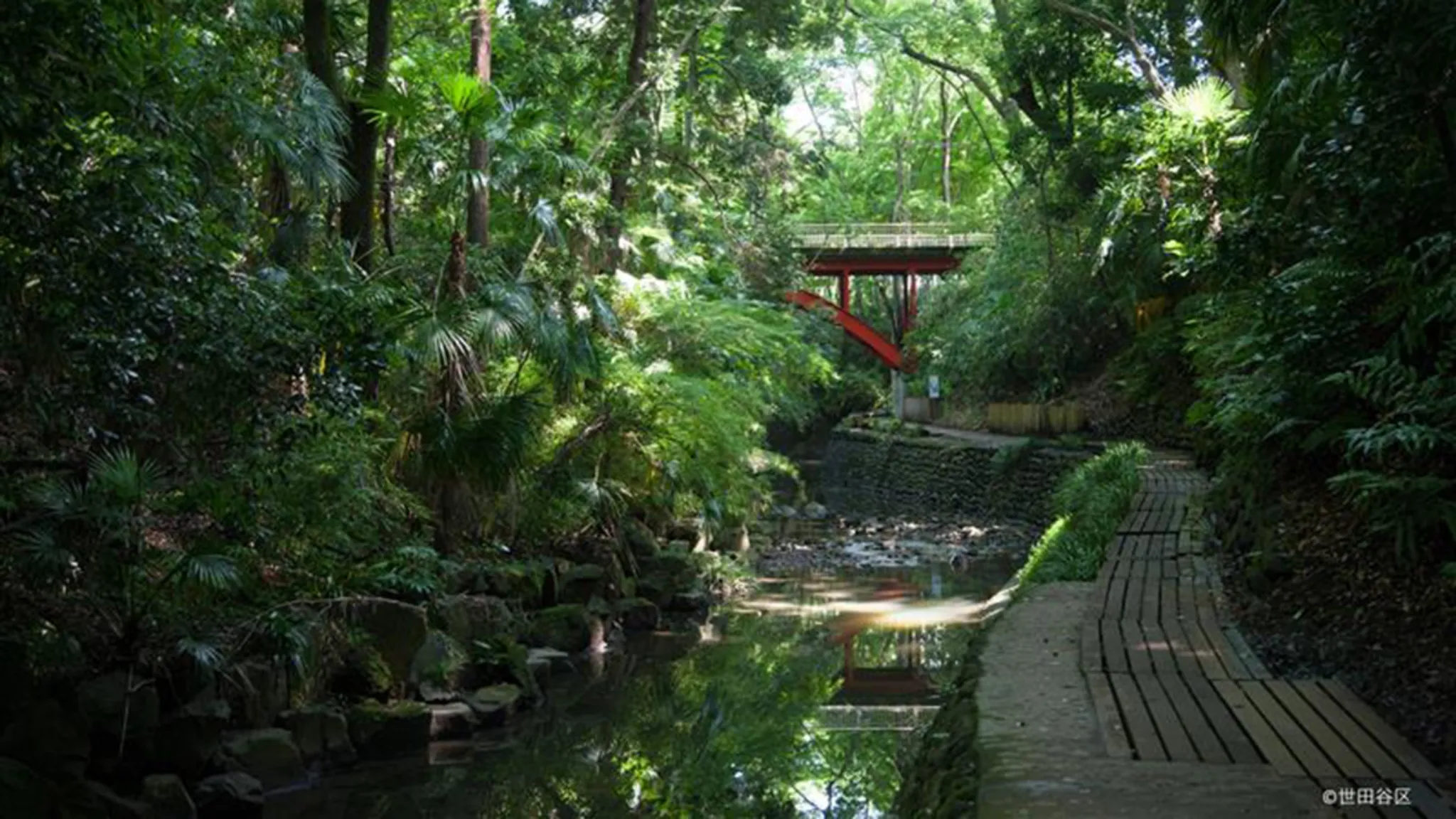 東急大井町線・目黒線沿線