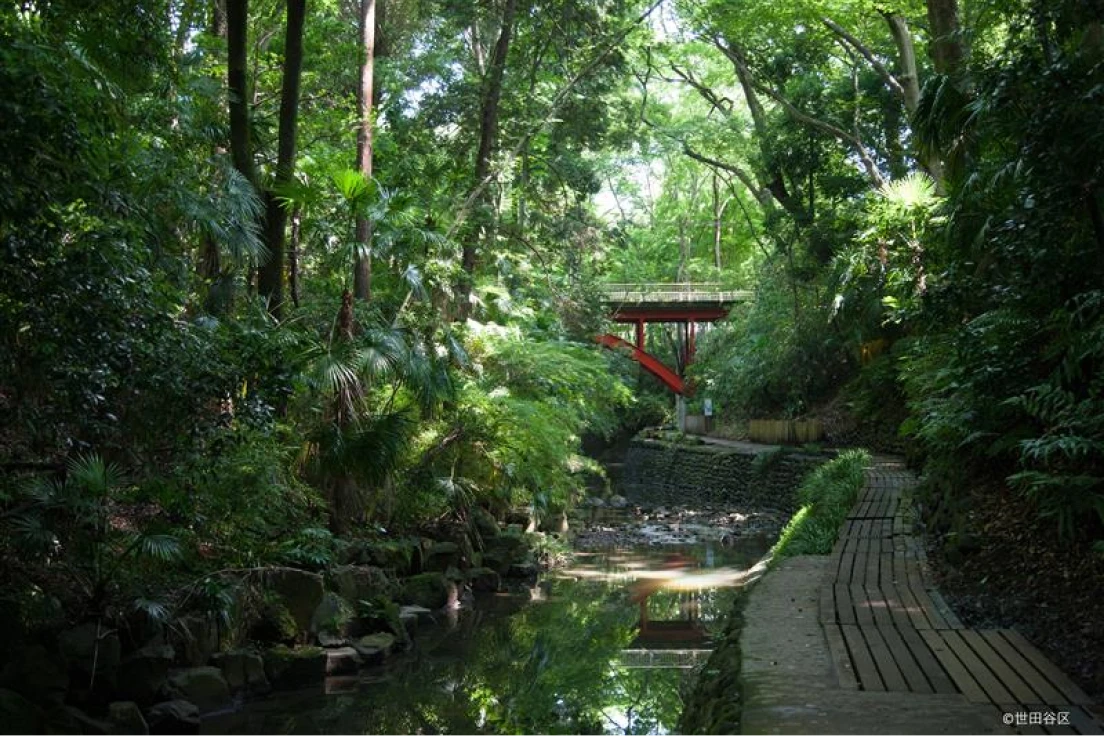 東急大井町線・目黒線沿線