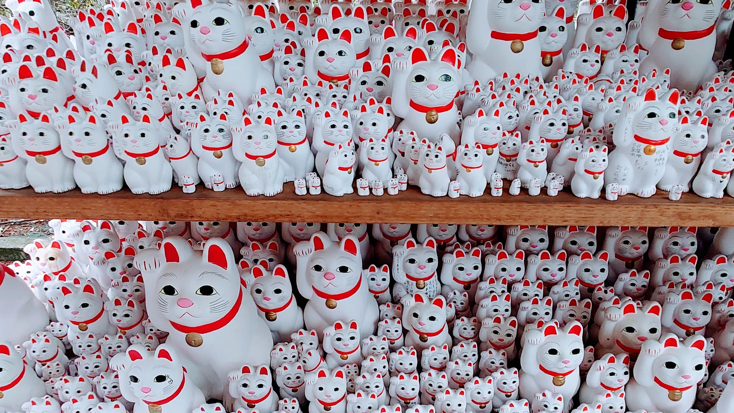 小田急小田原線沿線