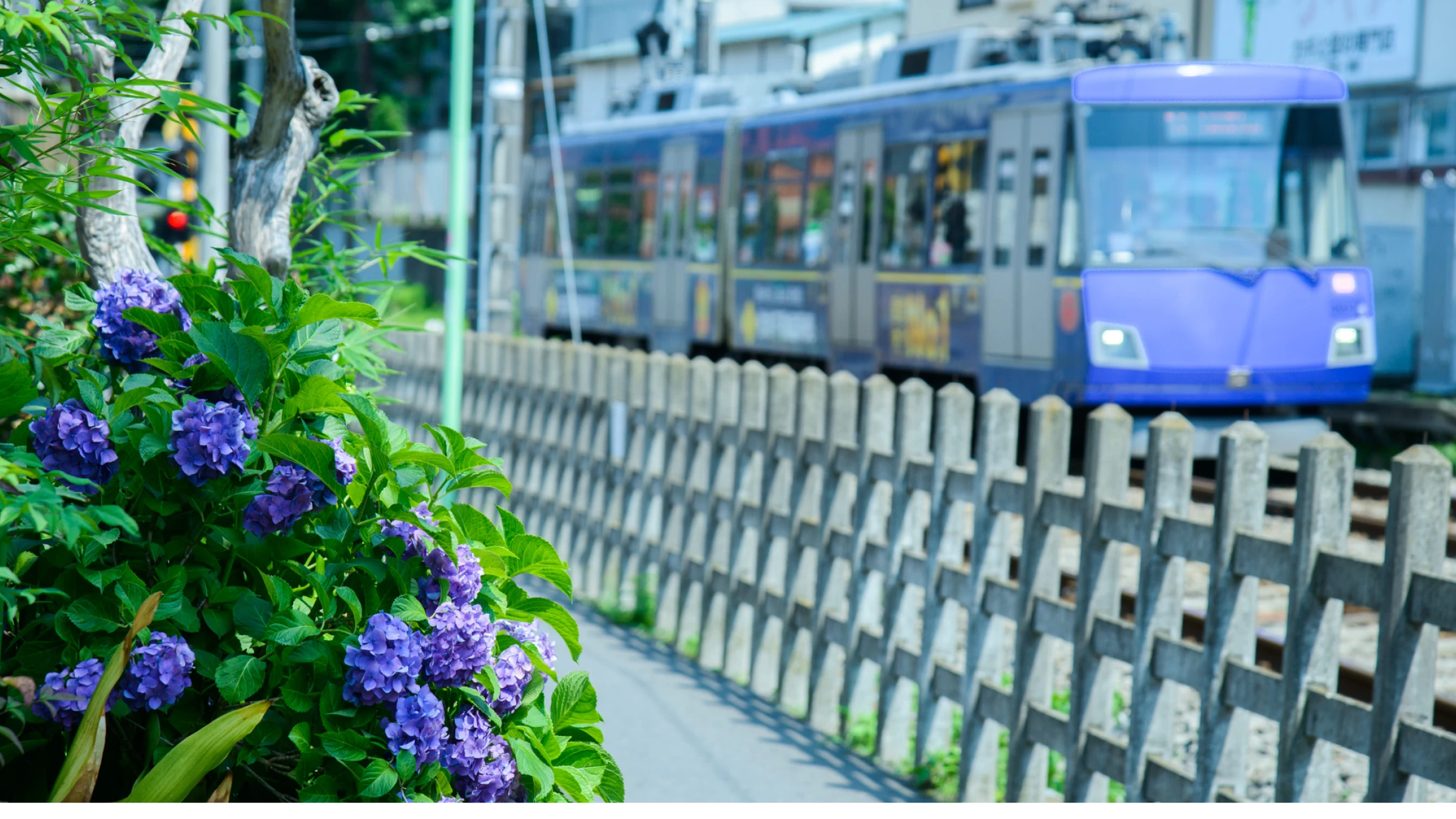 東急世田谷線沿線