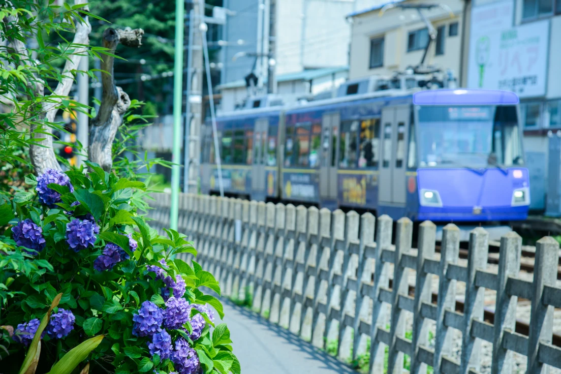 東急世田谷線沿線